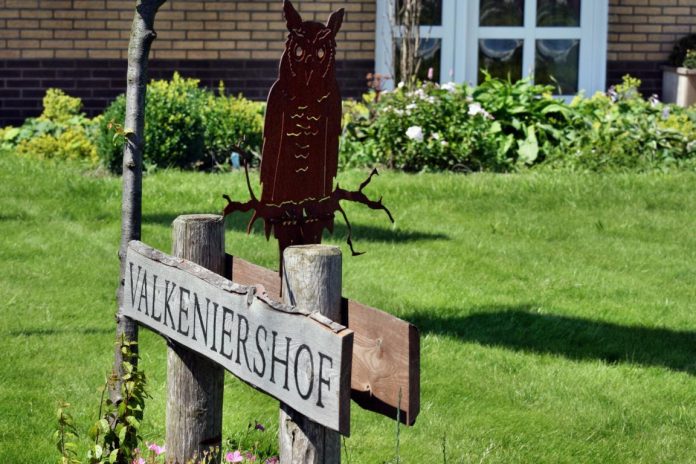 Ijzendijke_Falknerei_2