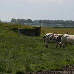 Knokke_Atlantikwall_2012_ 4