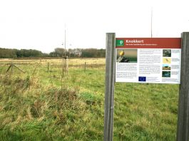 Naturschutzgebiet „De Knokkert“