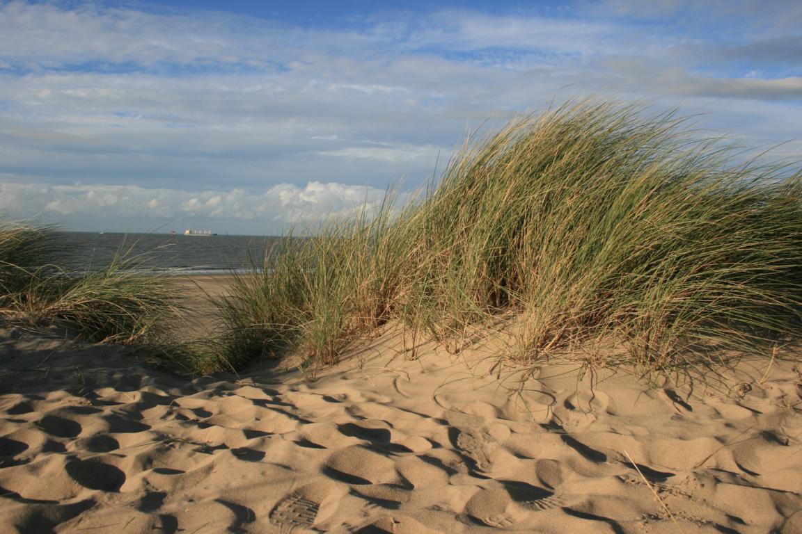 cadzand_dünen_26