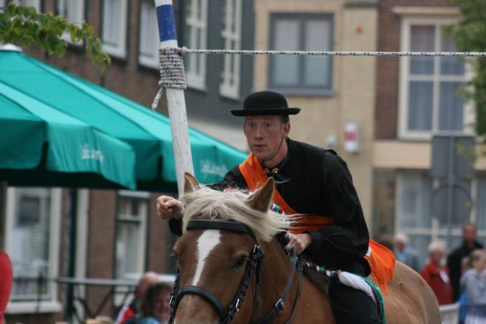ijzendijke_ringeiten_2011_27
