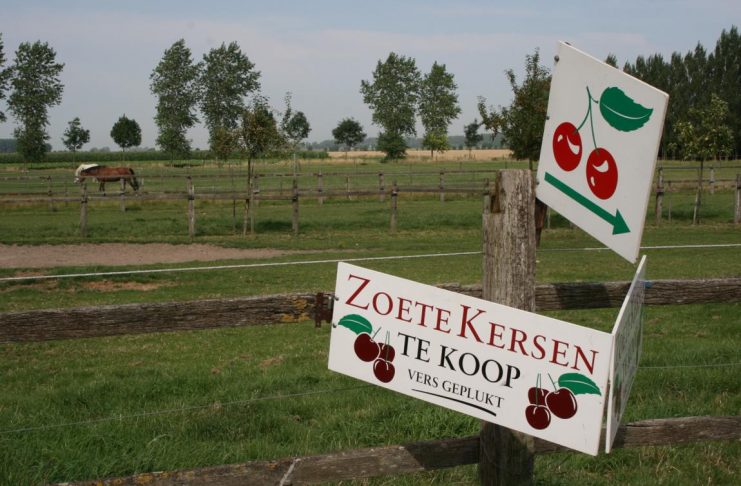 Obstbauernhof „Zoete Polder“