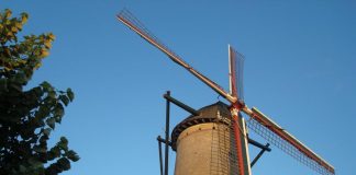Windmühle in Sluis