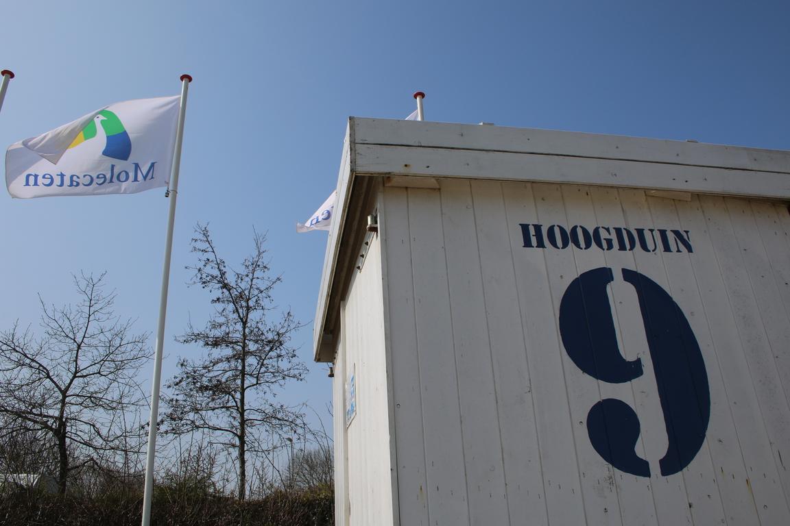 Molecaten Park Hoogduin in Cadzand-Bad: Strandnaher Campingplatz