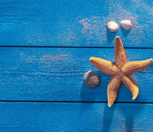 Beauty und Wellness in Cadzand-Hotels