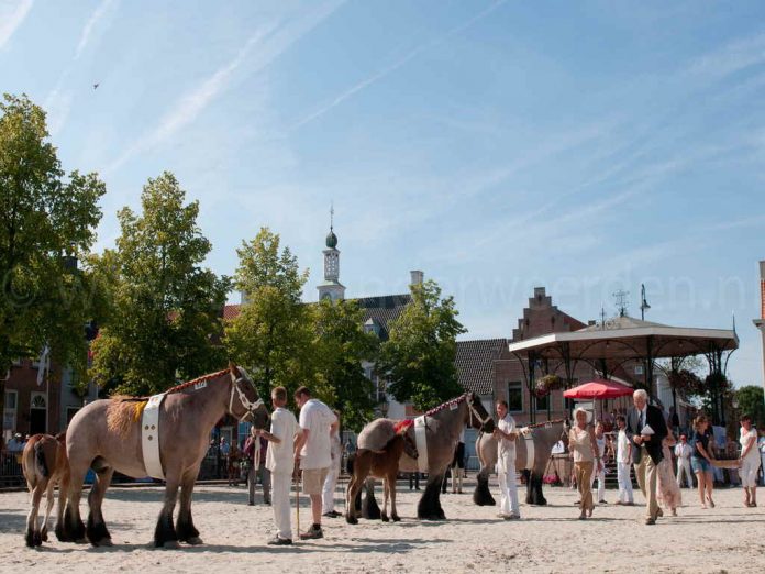 Internationales Zugpferde-Festival Zeelands