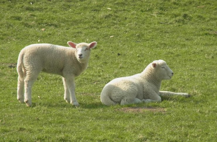 Osterevents in Cadzand-Bad