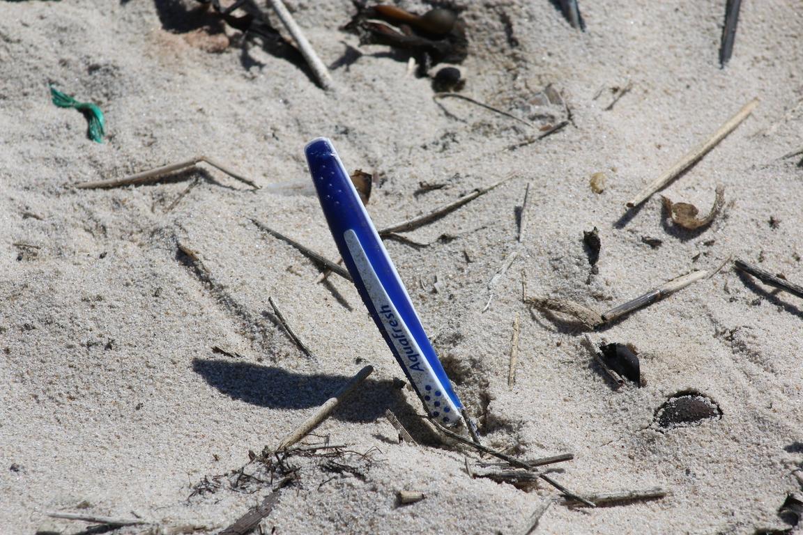 Federnfund am Cadzand-Strand