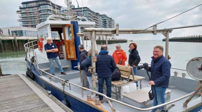 Seehunde beobachten & Angeln auf der Westerschelde: Ausflüge mit der „Christianne“ ab Breskens